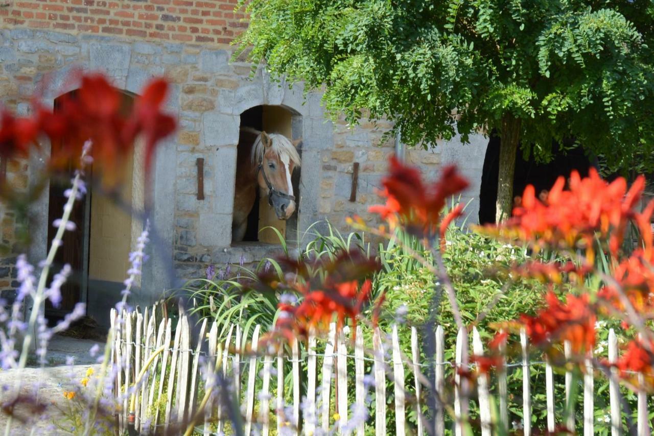 Bed and Breakfast Aux 4 Saules de 4 Wilgen Modave Exterior foto